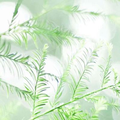 青木手游app下载